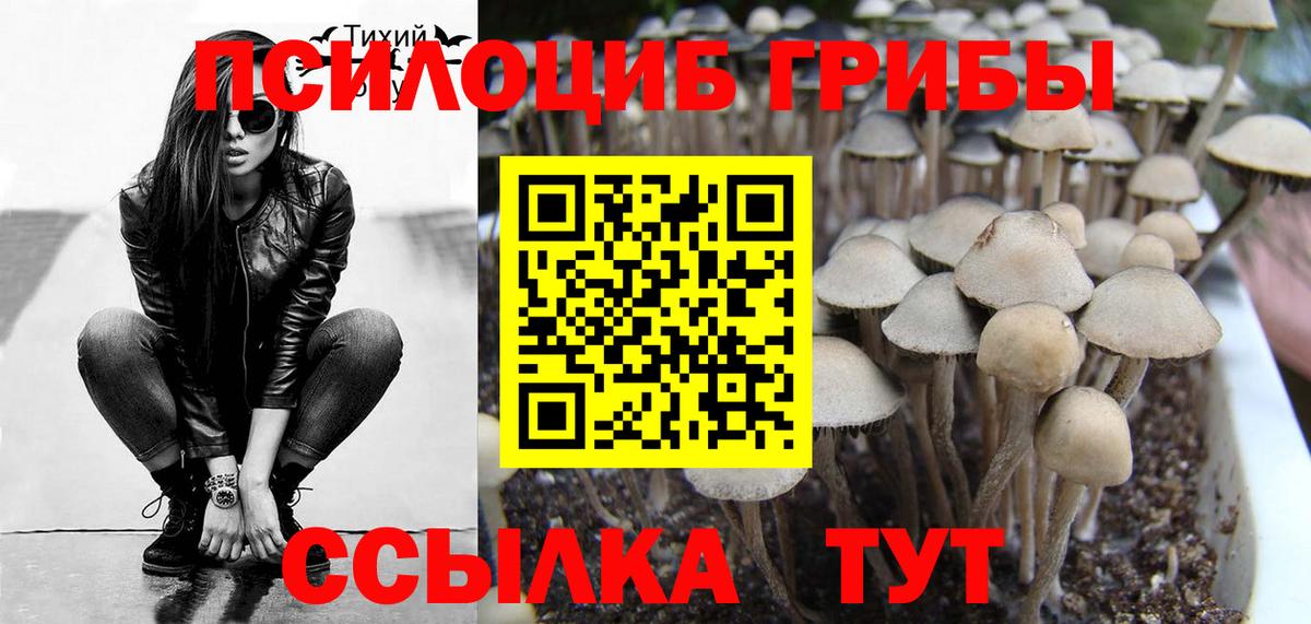 Добрянка  Псилоцибиновые грибы Magic Shrooms  Вход с VPN 